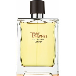 Terre d'Hermes Eau Intense Vetiver Pour Homme Eau De Parfum - 100 ML