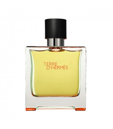 Hermes Terre d’Hermes Eau De Parfum Pour Homme