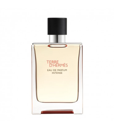 Hermes Terre D'Hermes Eau De Parfum Intense NEW Pour Homme