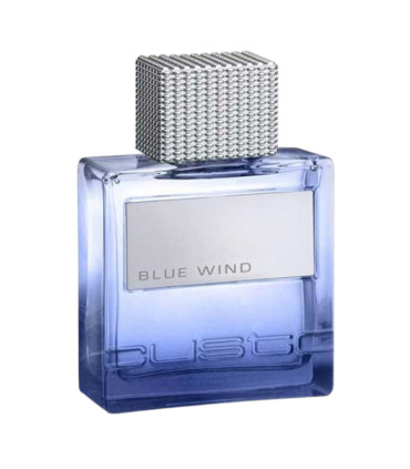 Custo Barcelona Blue Wind For Men Eau De Toilette UNIKAT