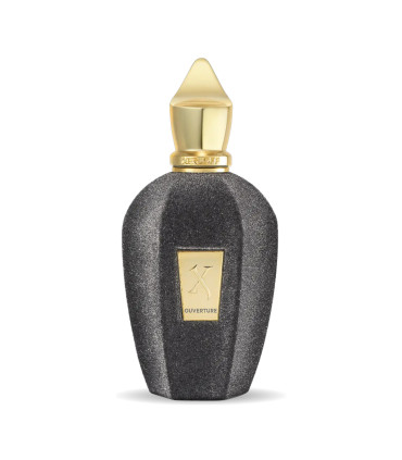 Xerjoff Vibe Collection Ouverture Eau De Parfum NISZOWY