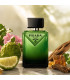 Prada ParaDigme Eau De Parfum NEW