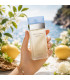 Dolce & Gabbana Light Blue Pour Femme Eau De Toilette
