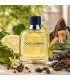 Dolce & Gabbana Pour Homme  Eau De Toliette