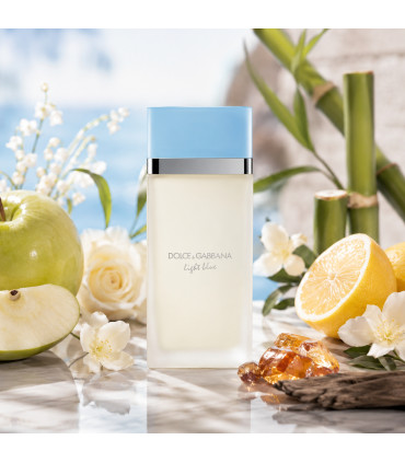 Dolce & Gabbana Light Blue Pour Femme Eau De Toilette