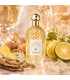 GUERLAIN Aqua Allegoria Bergamote Calabria EDT