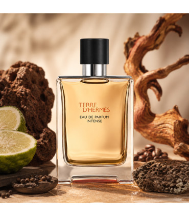 Hermes Terre D'Hermes Eau De Parfum Intense NEW Pour Homme