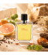 Hermes Terre d’Hermes Eau De Parfum Pour Homme