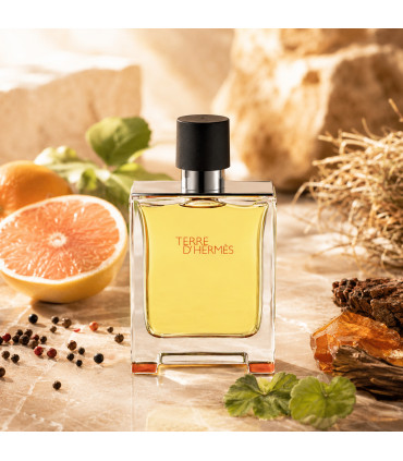Hermes Terre d’Hermes Eau De Parfum Pour Homme