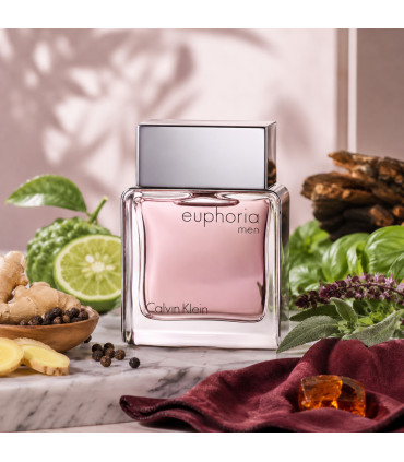 Calvin Klein Euphoria Men Eau De Toilette