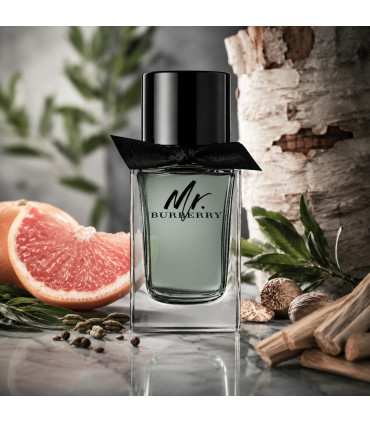 Burberry Mr. Burberry Eau De Toilette