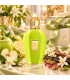 Xerjoff Vibe Collection Amabile Eau De Parfum NISZOWY