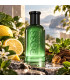 Hugo Boss Bottled Bold Citrus Eau De Parfum NOWOŚĆ