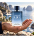 Giorgio Armani Acqua Di Gio Profondo Eau De Toilette