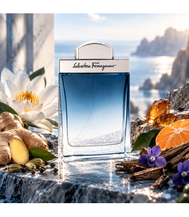 Salvatore Ferragamo Subtil Pour Homme Eau De Toilette