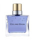 Celine Dion Parfums Paris Nights Eau De Toilette UNIKAT